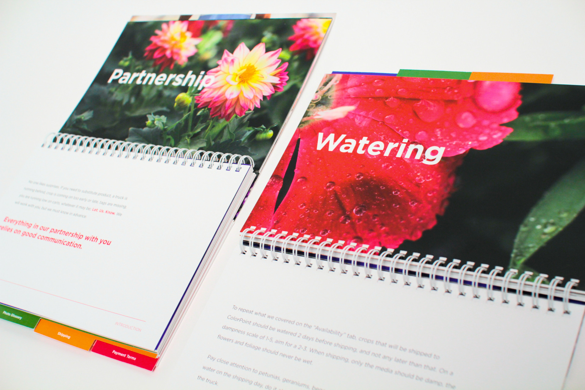 Hollan Properties Tanner Chaney